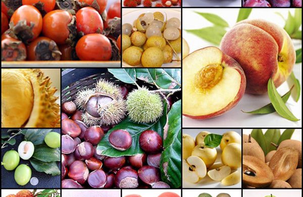 Mẹo nhận biết tính hàn – nhiệt của thực phẩm để bảo vệ sức khỏe